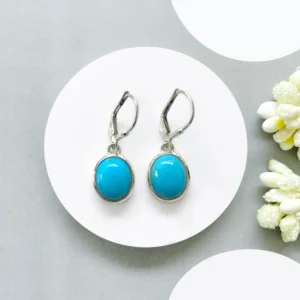 Turquoise Leverback Earring-(GEM-TLE-07)