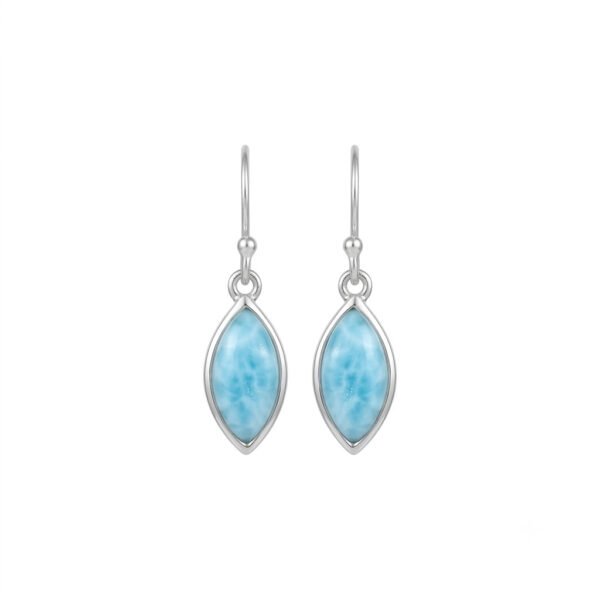 Larimar Earring-LE011
