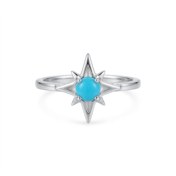 Turquoise Ring-002