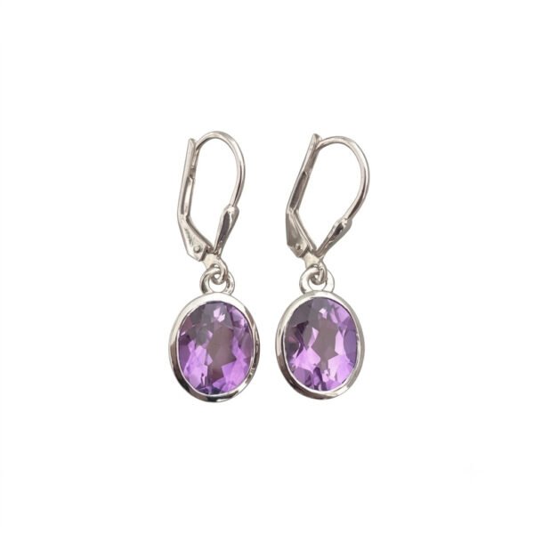 Amethyst Leverback Earring-AME006
