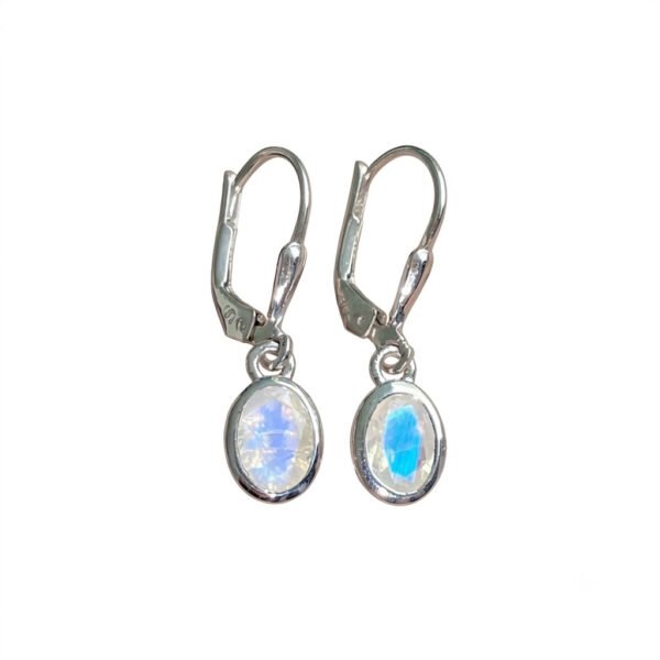 Moonstone Leverback Earrings - ME - 029